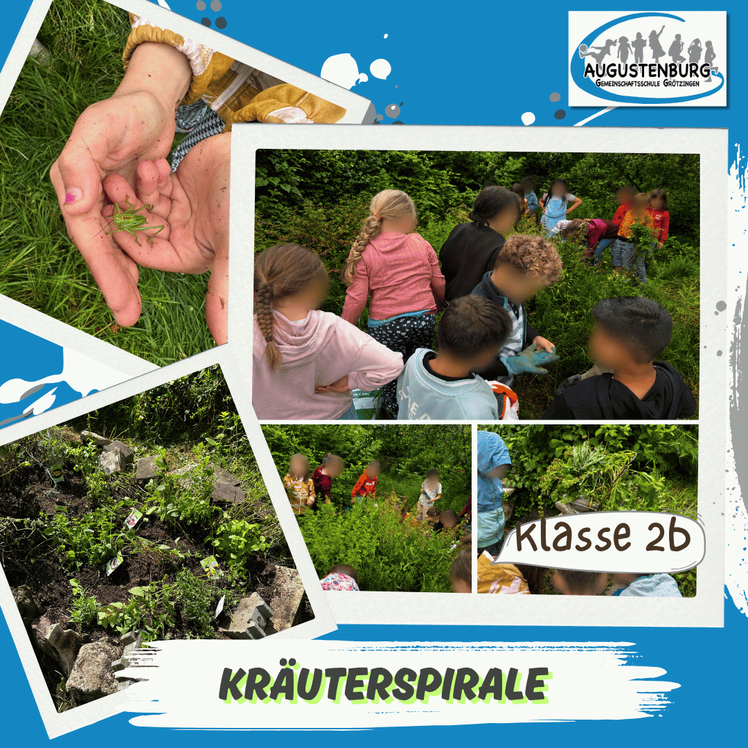 Kräuterspirale 1